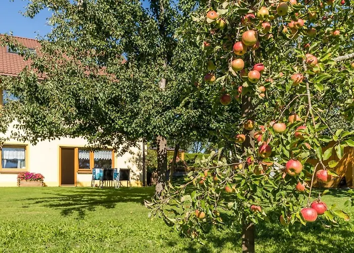 Apartment-mit-balkon